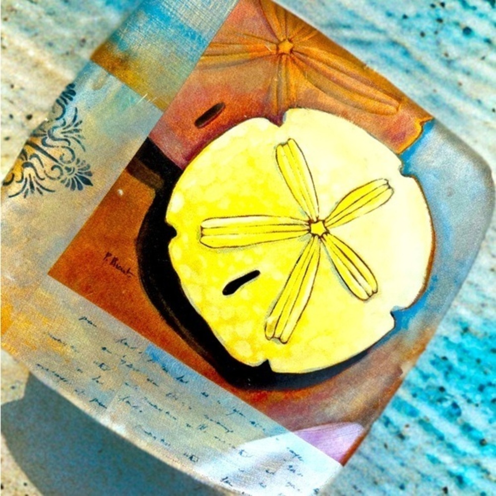 Beach-Inspired Sand Dollar Trinket Dish – 6 Inches